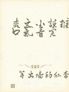 爽文小说推文一口气看完封面