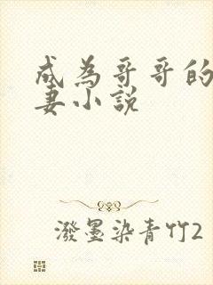 成为哥哥的未婚妻小说封面