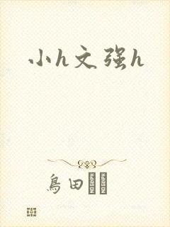 小h文强h