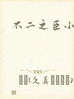 不二之臣小说封面