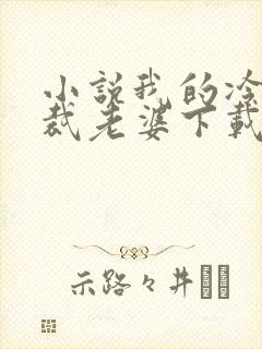 小说我的冷艳总裁老婆下载