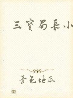 三宝局长小说