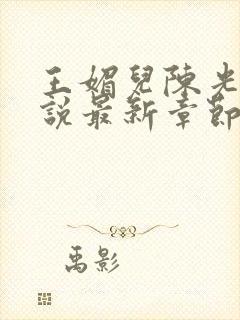 王媚儿陈光达小说最新章节更新时间封面