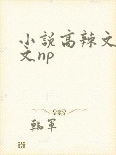 小说高辣文高h文np