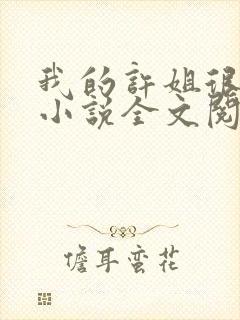 我的许姐很温柔小说全文阅读