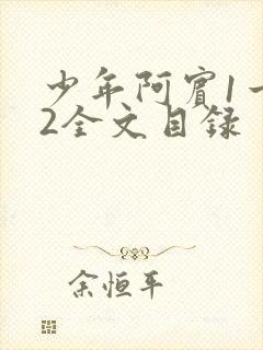 少年阿宾1一72全文目录
