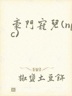 豪门宠儿(npc)