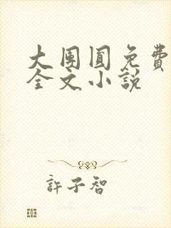大团圆免费阅读全文小说封面
