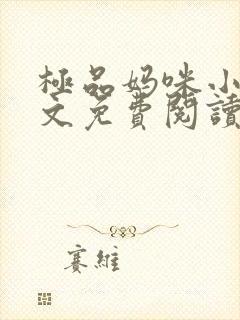 极品妈咪小说全文免费阅读