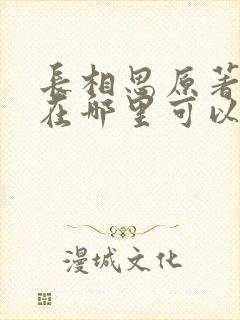长相思原著小说在哪里可以看封面