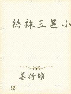 丝袜玉足小说