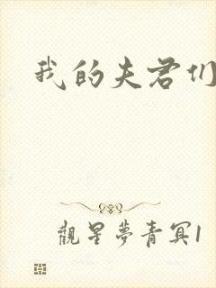 我的夫君们