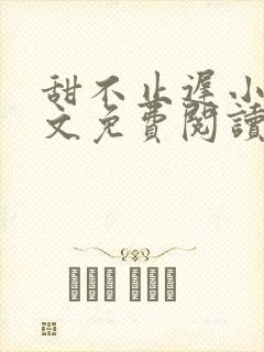 甜不止迟小说全文免费阅读封面
