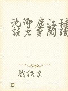 沈卿尘江稚的小说免费阅读封面