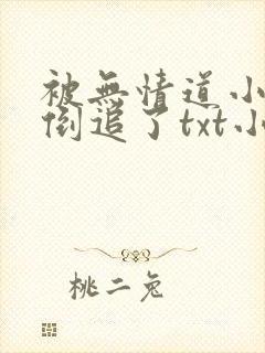 被无情道小师弟倒追了txt小说下载