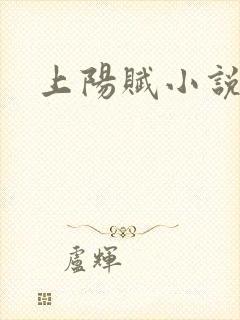 上阳赋小说封面