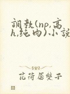 调教(np,高h,纯肉)小说