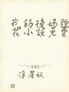 我的后妈貌美如花小说免费阅读