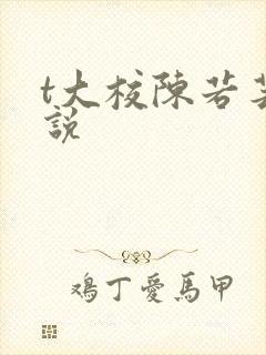 t大校陈若芸小说