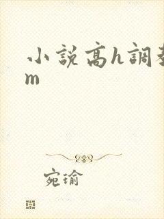 小说高h调教sm