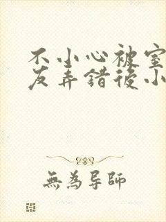 不小心被室友男友弄错后小说封面