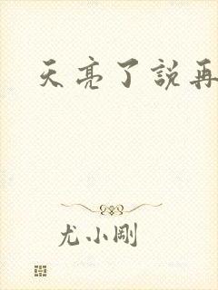 天亮了说再见封面