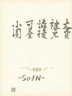 小可怜被大佬们圈养后免费阅读封面