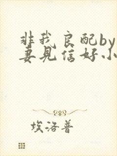 非我良配by吾妻见信好小说免费阅读