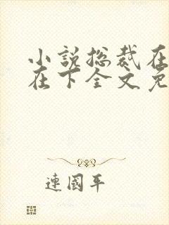 小说总裁在上我在下全文免费阅读