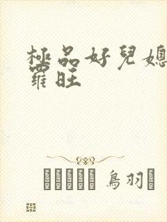极品好儿媳秦雨罗旺封面