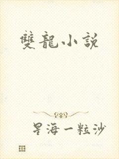 双龙小说封面