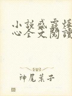 小说盛霆烨初之心全文阅读无弹窗封面