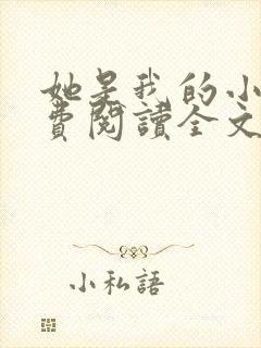 她是我的小说免费阅读全文