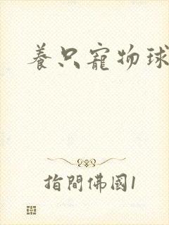 养只宠物球