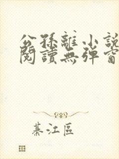 公孙离小说免费阅读无弹窗封面
