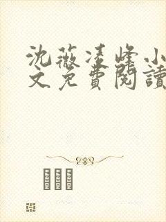 沈薇凌峰小说全文免费阅读封面