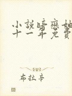 小说暗恋她的第十一年免费看