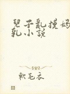 儿子乱摸妈妈大乳小说