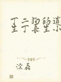 丁二狗的逍遥人生丁长生小说