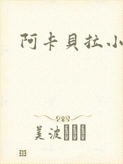 阿卡贝拉小说