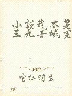 小说我不是戏神三九音域完结版