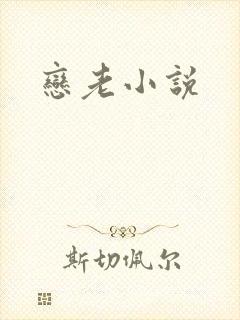 恋老小说