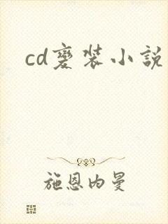 cd变装小说封面