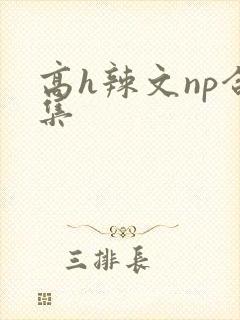 高h辣文np合集