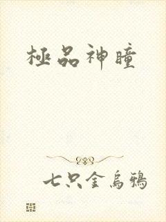 极品神瞳