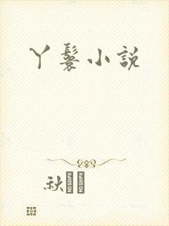 丫鬟小说封面