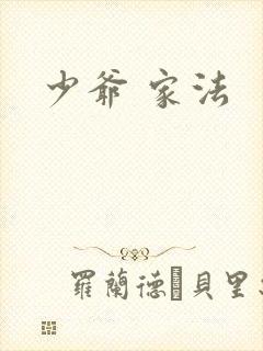 少爷 家法