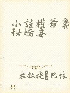 小说权爷枭宠神秘娇妻