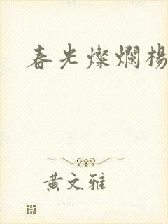 春光灿烂杨家将