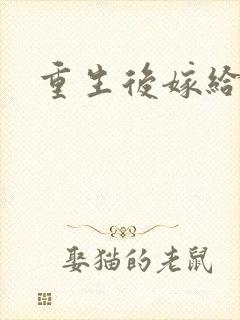 重生后嫁给三叔